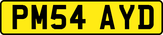 PM54AYD