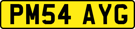 PM54AYG