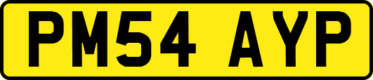 PM54AYP