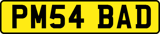 PM54BAD