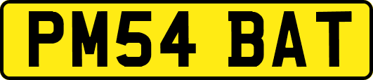 PM54BAT