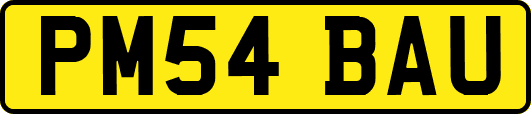 PM54BAU