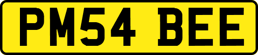 PM54BEE