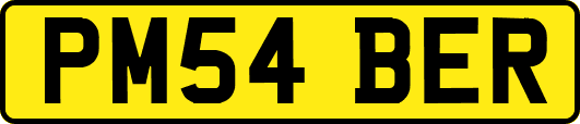 PM54BER