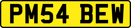 PM54BEW