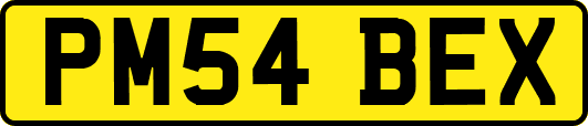 PM54BEX