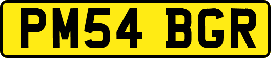 PM54BGR
