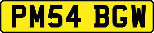 PM54BGW