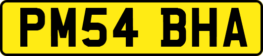PM54BHA