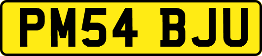 PM54BJU