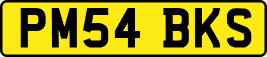 PM54BKS