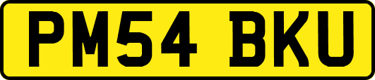 PM54BKU