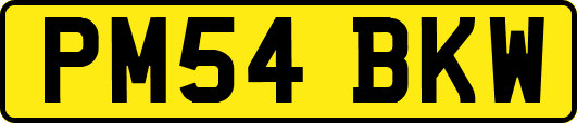 PM54BKW