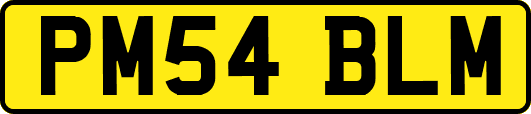 PM54BLM