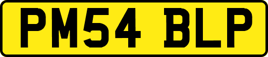 PM54BLP