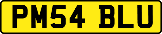 PM54BLU