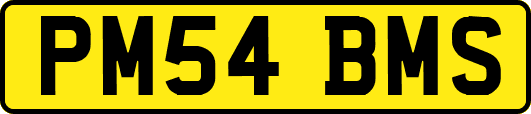 PM54BMS