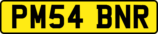 PM54BNR