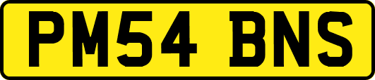PM54BNS