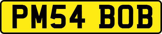 PM54BOB