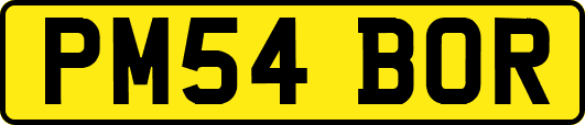 PM54BOR