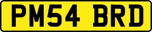 PM54BRD