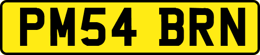 PM54BRN
