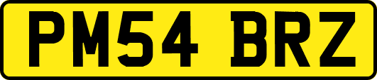 PM54BRZ