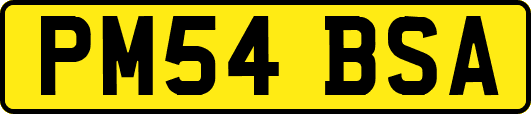 PM54BSA