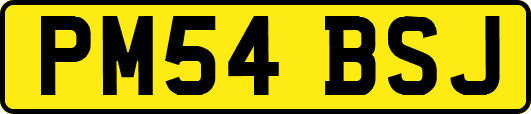 PM54BSJ