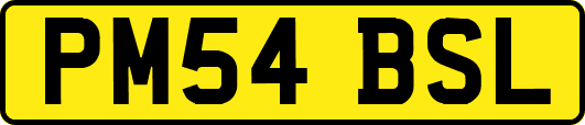 PM54BSL