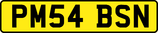 PM54BSN