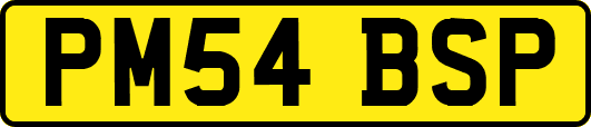 PM54BSP