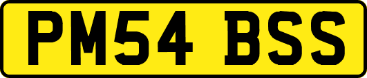 PM54BSS