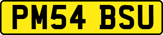 PM54BSU