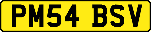 PM54BSV