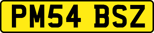 PM54BSZ