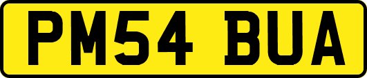 PM54BUA