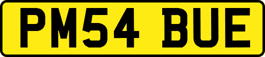 PM54BUE