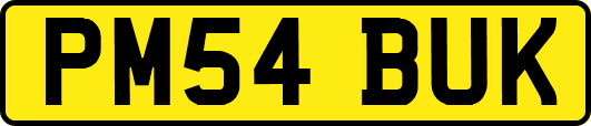 PM54BUK