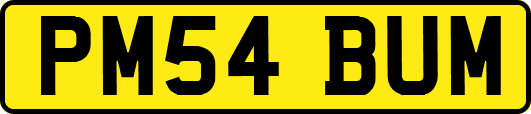 PM54BUM
