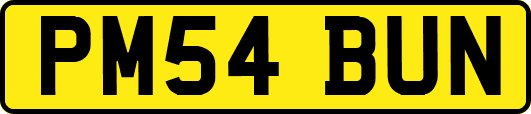 PM54BUN