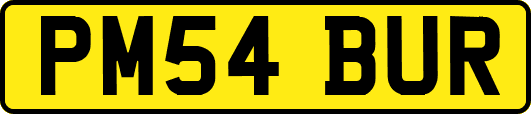 PM54BUR
