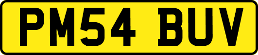 PM54BUV