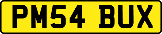 PM54BUX