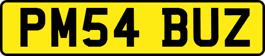 PM54BUZ