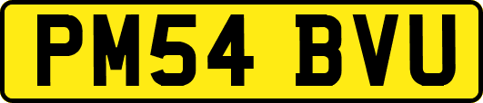 PM54BVU
