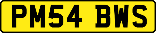 PM54BWS