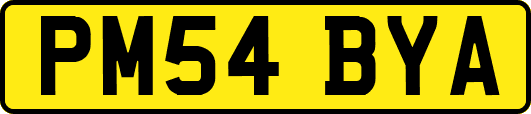 PM54BYA