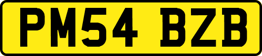 PM54BZB